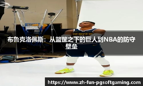 布鲁克洛佩斯：从篮筐之下的巨人到NBA的防守壁垒