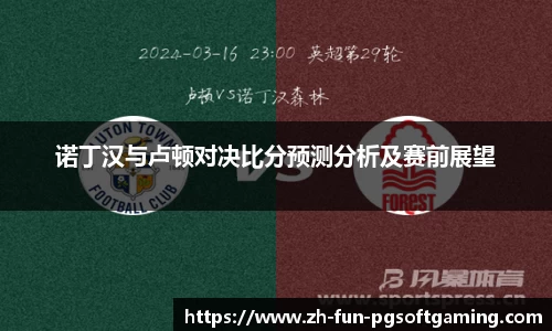 诺丁汉与卢顿对决比分预测分析及赛前展望
